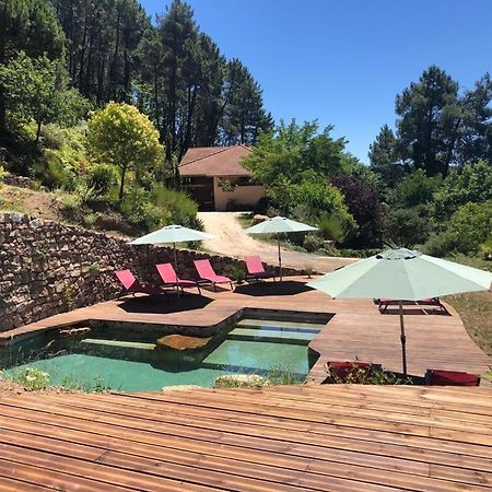 Вилла Le Nid Des Anges Saint-Andre-Lachamp Экстерьер фото